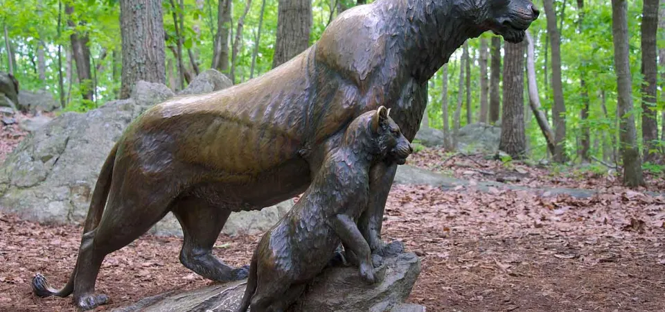 Lioness and Cubs